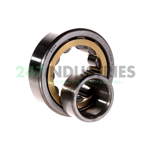 NU305EM C3E NSK Image 3