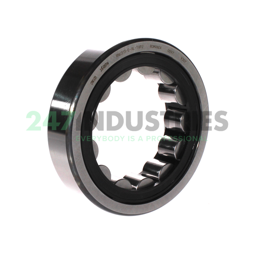 RNU313-E-XL-TVP2 FAG