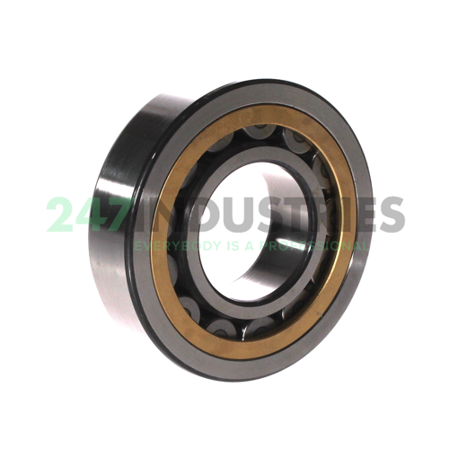 NJ309ECML/C3 SKF Image 3