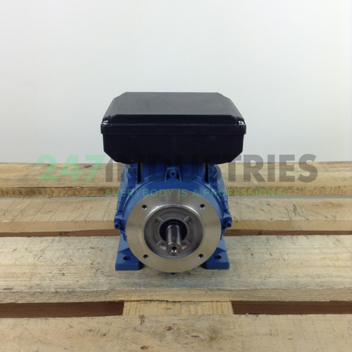 ML8024B34 Gibbons Image 4