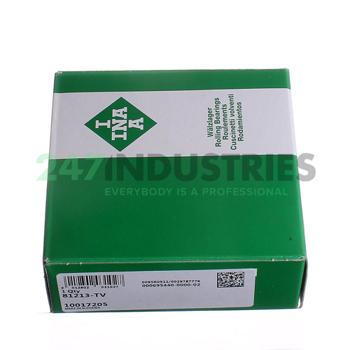 81213-TV INA Image 4