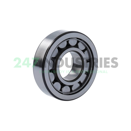 NJ306ECJ/C3 SKF Image 2