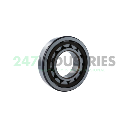 NJ318ECP/C3 SKF Image 2