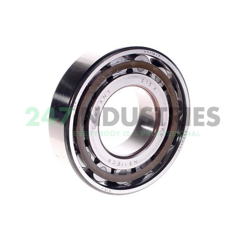 N311ECP SKF