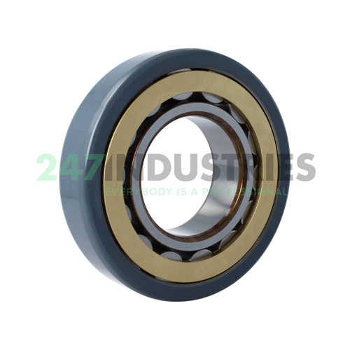 NU317ECM/C3VL0241 SKF Image 2
