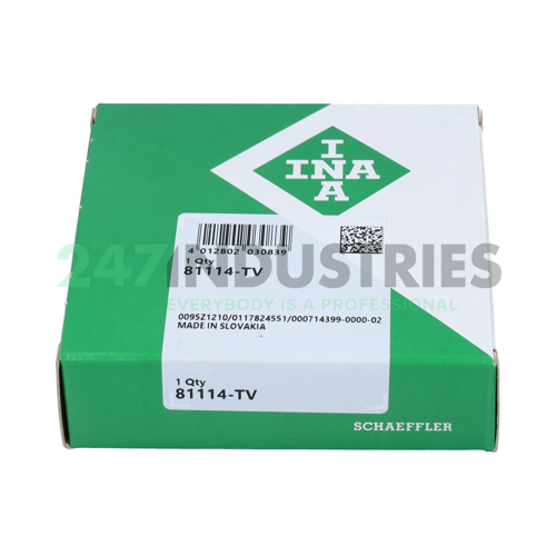81114-TV INA Image 4