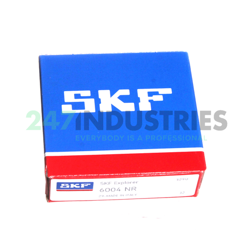 6004NR SKF Image 3