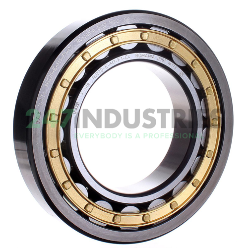 NJ220-E-M1-F1-C4 FAG