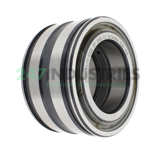SL045008-PP-2NR-C2 INA