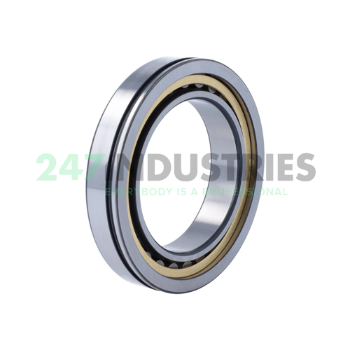 NU1013-XL-N-M1A-C3 FAG Image 2