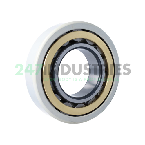 NU319-E-XL-M1-J20AA-C3 FAG Image 2