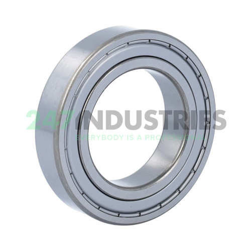 6009-2Z/C4HT SKF Image 2
