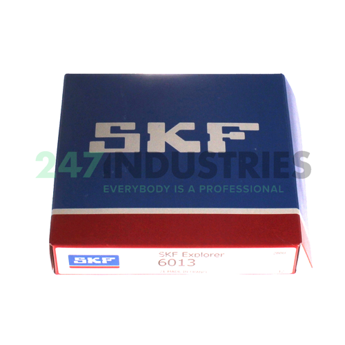6013 SKF Image 3