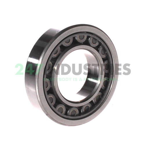 NU208EWC3 NSK Image 2