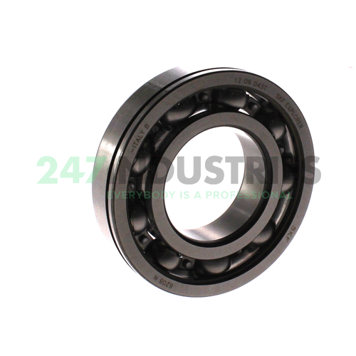 6208N SKF