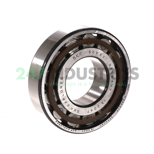 N309ECP SKF