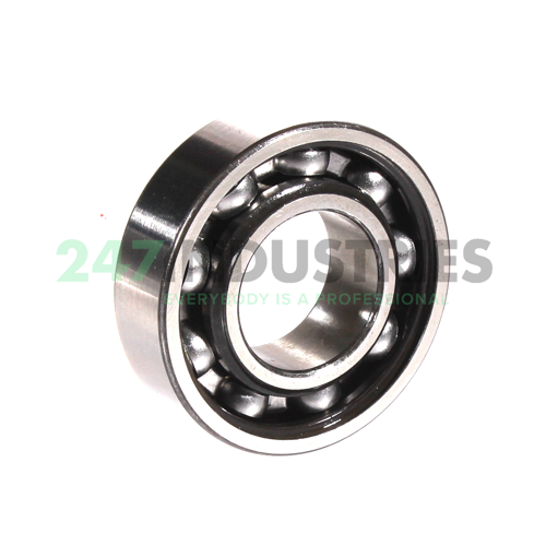 6004-RS1 SKF Image 2