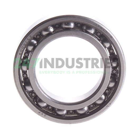 6009/C3QE6 SKF Image 2