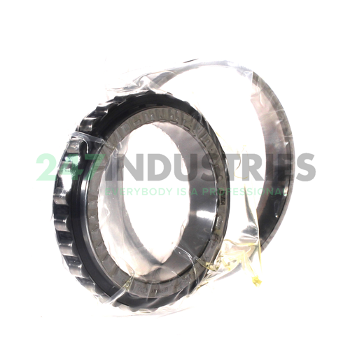 N1013-D-K-TVP-SP-XL FAG