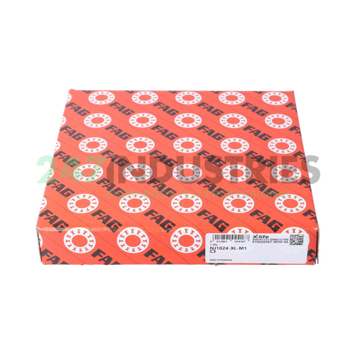 NJ1024-XL-M1-C3 FAG Image 4