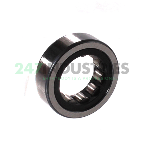 RNU202-E-XL-TVP2 FAG Image 2