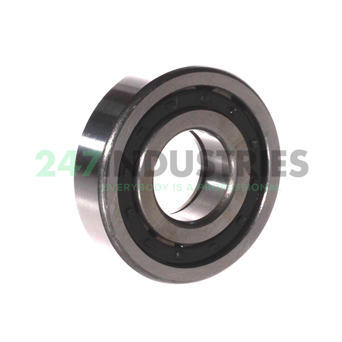 NUP306E C3 FBJ Image 2