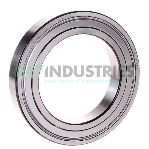 6017 SKF