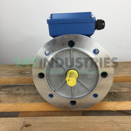 MS7124B35 Gibbons Image 4