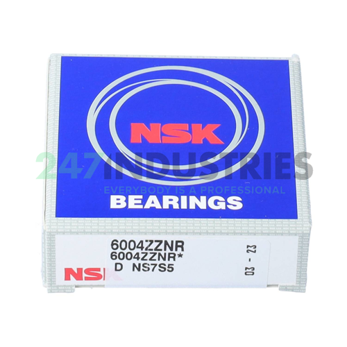 6004ZZNR NSK Image 3