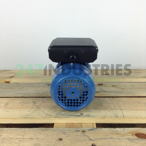 ML8024B14 Gibbons Image 5