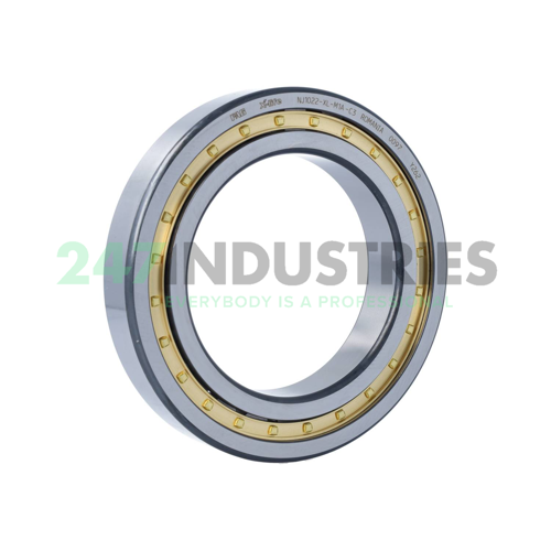 NJ1022-XL-M1A-C3 FAG