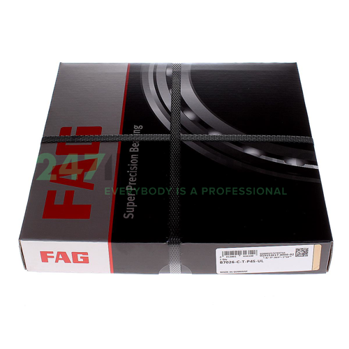 B7026-C-T-P4S-UL FAG Image 2