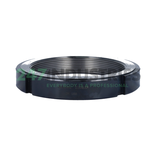 ZM100 INA Image 3
