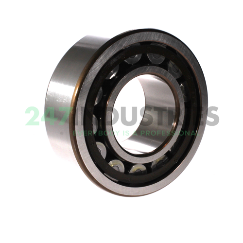 NJ2315ECP/C4 SKF Image 2