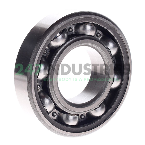 6310-RS SKF Image 2