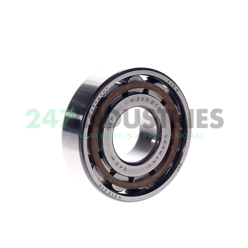 N305ECP SKF