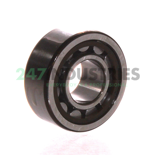 NU2204ECP SKF Image 2