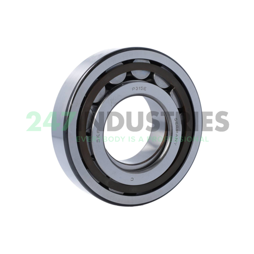 NUP315ECP SKF Image 2