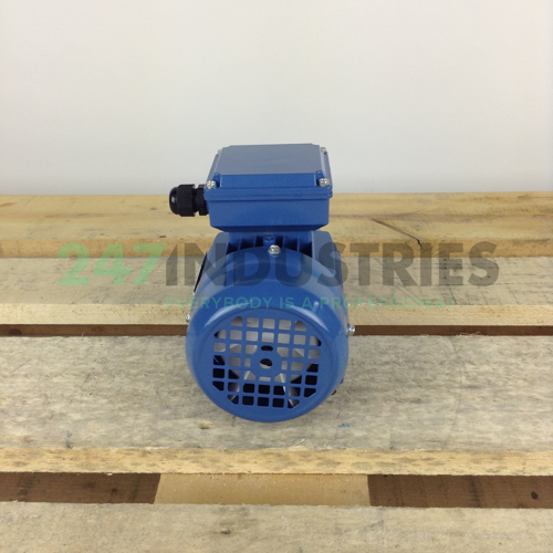 MS5624B34 Gibbons Image 5