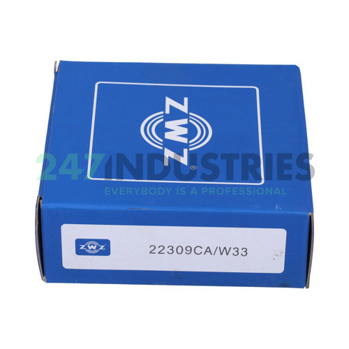 22309CAW33 ZWZ Image 4