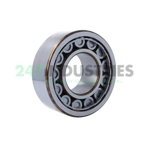 NU2315ECJ SKF Image 2