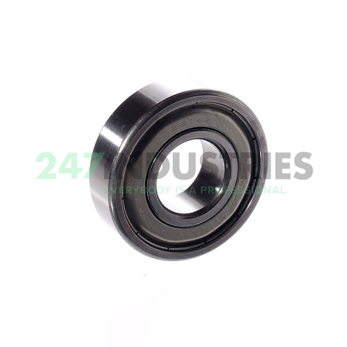 6204ZZ NSK