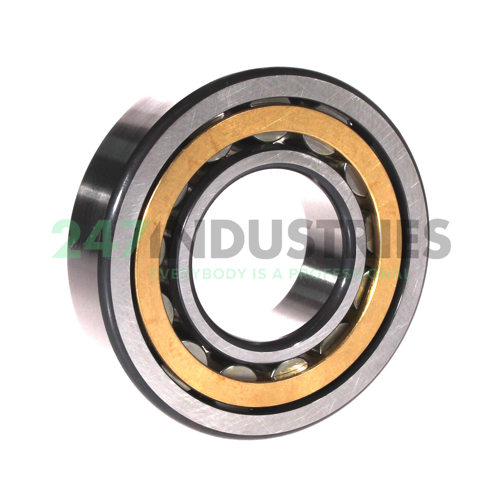 NU310-E-XL-M1-C3 FAG Image 2