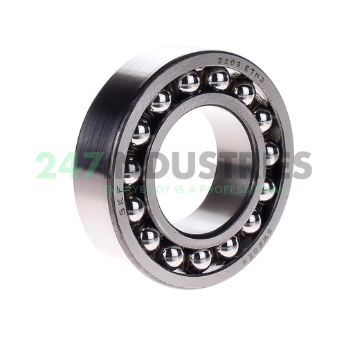 2209ETN9 SKF