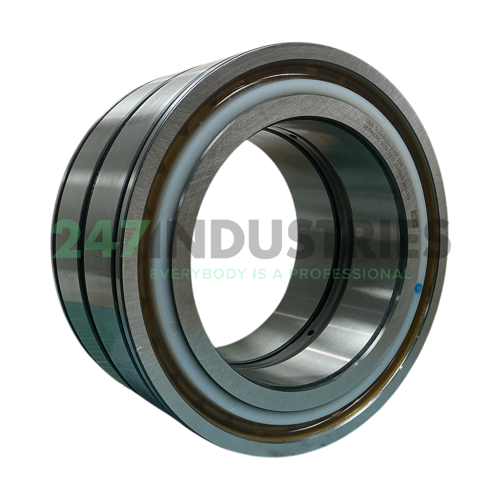 SL045034-D-PP-2NR INA