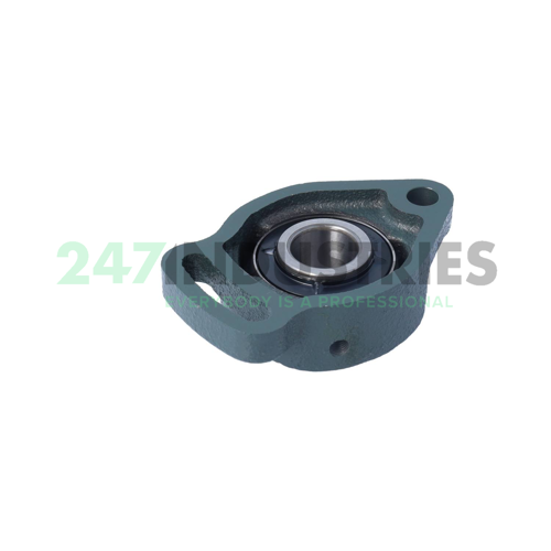 UCFA204D1 NSK Image 2