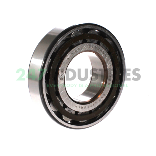 N313ECP SKF
