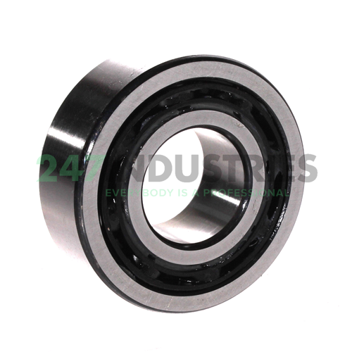 4308BTNG NSK Image 2