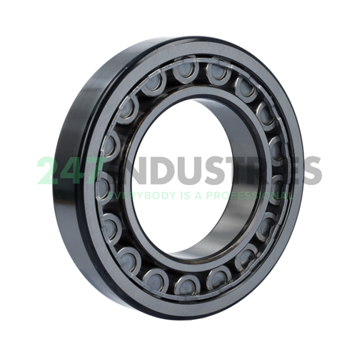 NU218ECJ SKF Image 3