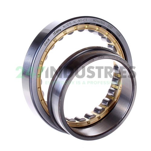 NJ1015-XL-M1-C3 FAG Image 2